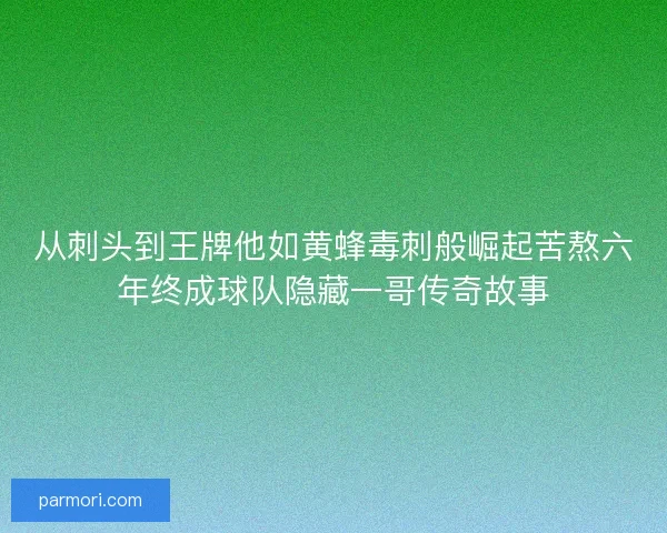 从刺头到王牌他如黄蜂毒刺般崛起苦熬六年终成球队隐藏一哥传奇故事