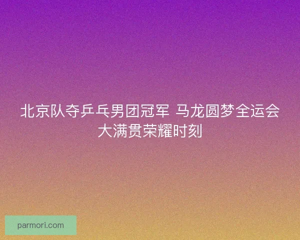 北京队夺乒乓男团冠军 马龙圆梦全运会大满贯荣耀时刻