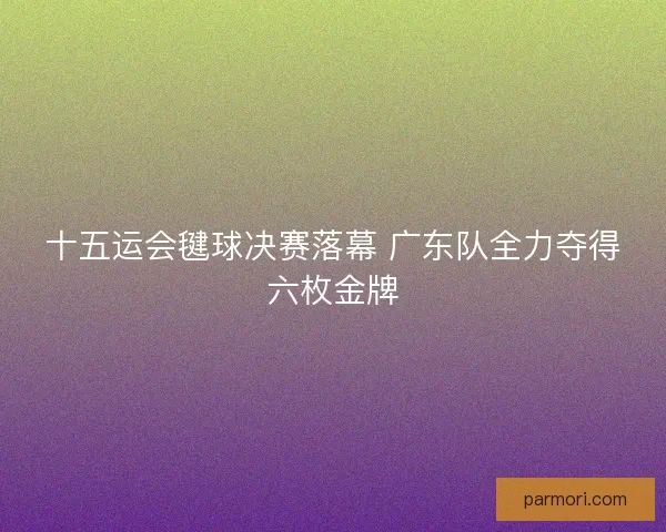 十五运会毽球决赛落幕 广东队全力夺得六枚金牌
